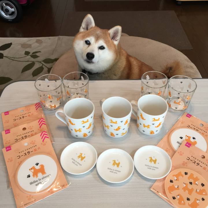 24cead1c f430 490b a698 f2738c06b59f 1567833746705