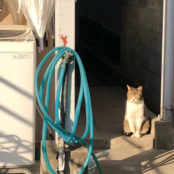 24ceb3ca d68a 4e12 b563 e2f1c3fa058f 1519158832229