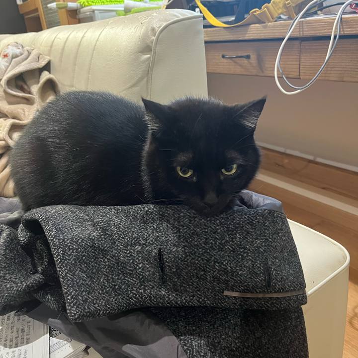 24ceb6d2 e231 4568 86c4 b84d82597a0f 1703544994600