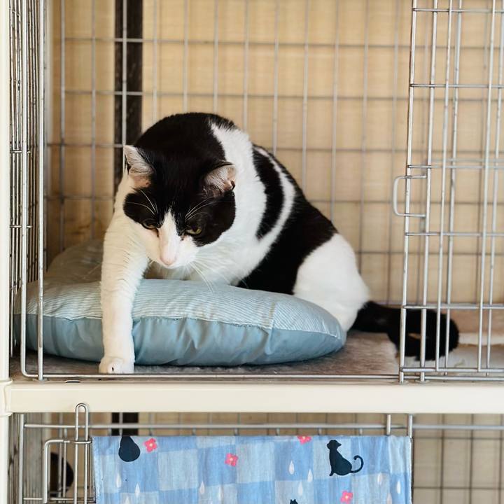 24cec058 af53 4f73 b834 8664e92f4208 1685672464988