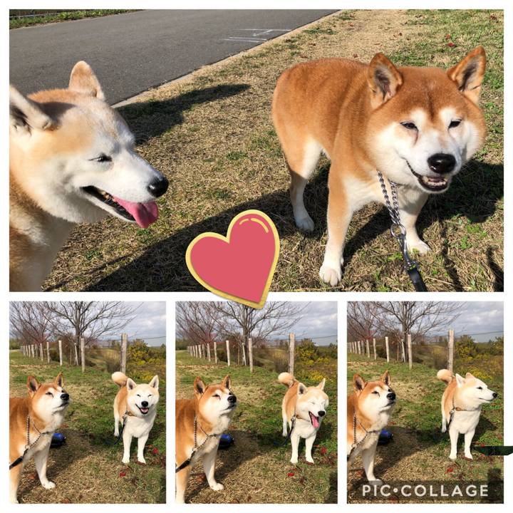 24cedd8b 18ce 4eaa a19e 76eec597211f 1543895447574