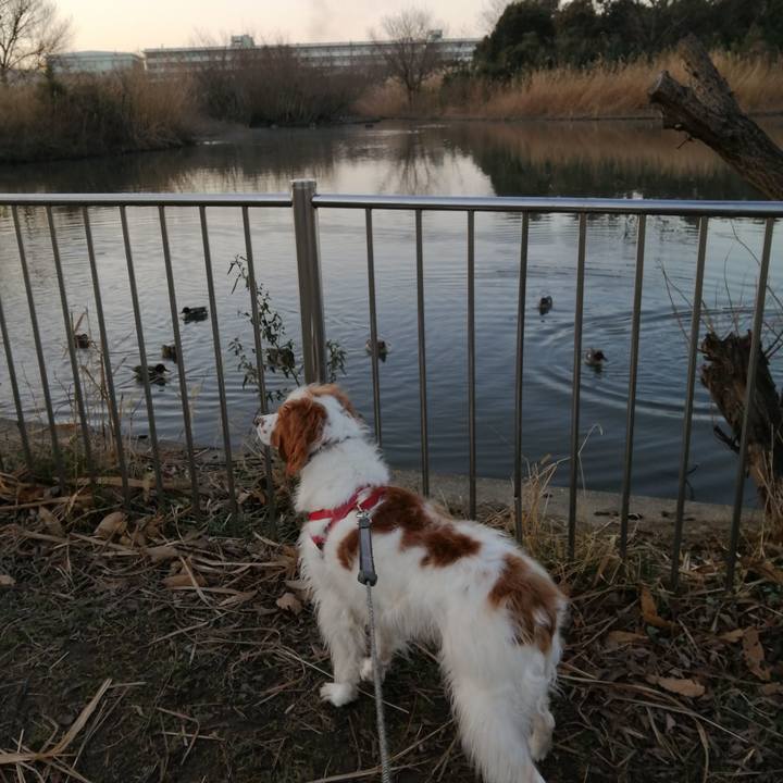 24cef177 771d 47d8 8a88 1dbd0ad42f6c 1580791141326