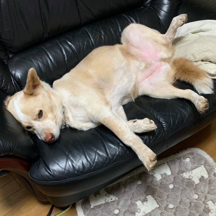 24cf1a2e b69c 4811 aa71 c6fd56d5553c 1553777038032