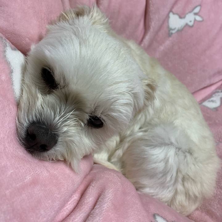 24cf49bb dbf3 4c36 8323 c67d1f5aa506 1581685222904