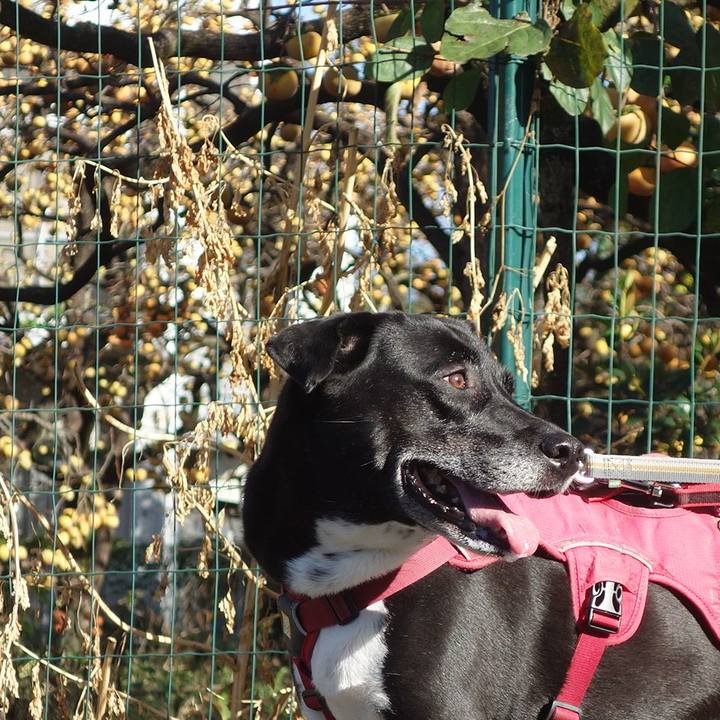 24cf53b2 6c6d 48fd aa4b 58d39126b160 1696553502432