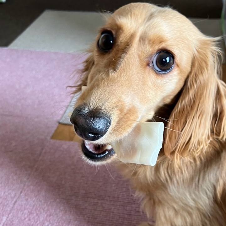 24cf6790 f561 40b9 982f fae33e43a96e 1715492848790