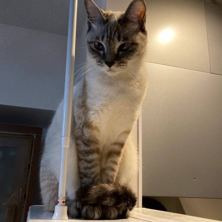 24cfa939 9dda 4a7a 891d cd16f6b08376 1605313229045