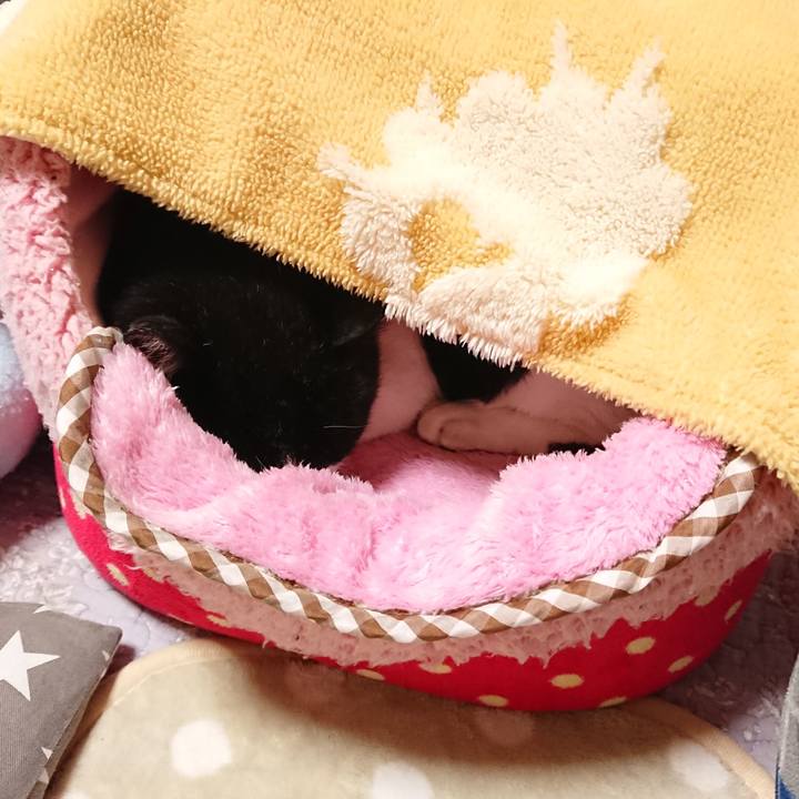 24cfebde 432a 45c9 b31b 750b419296a8 1556636570859