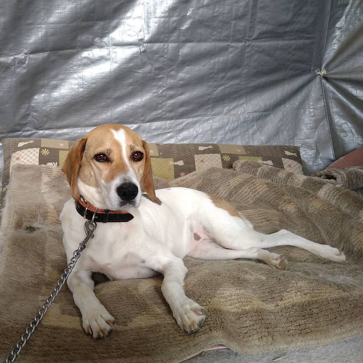 24cff8c3 b9bb 40c2 95fe ddf36083163c 1626076840389