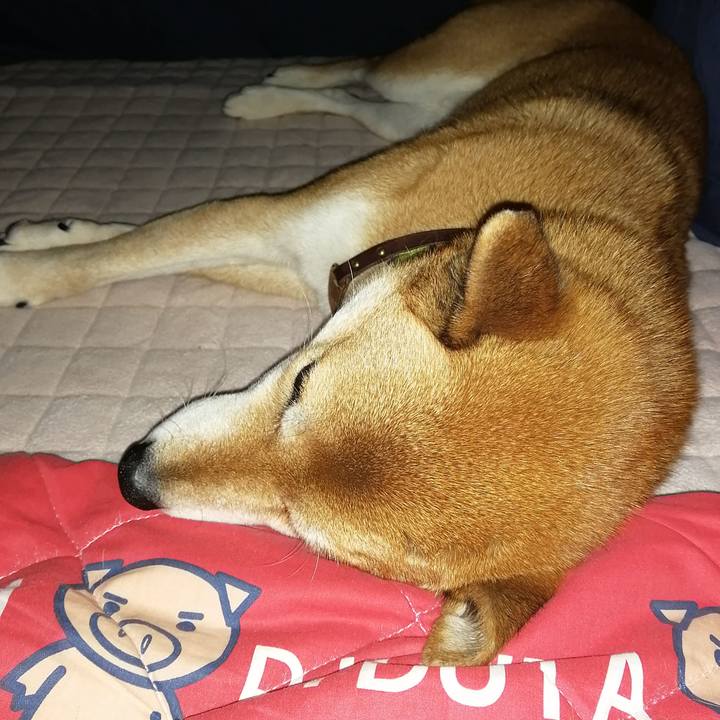 24cffe2b 9eb8 4250 b0d6 ec64c3d5de7d 1608031208408