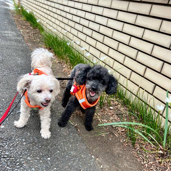 24d009a9 1848 4768 99ad 37a2d5499599 1758184197654