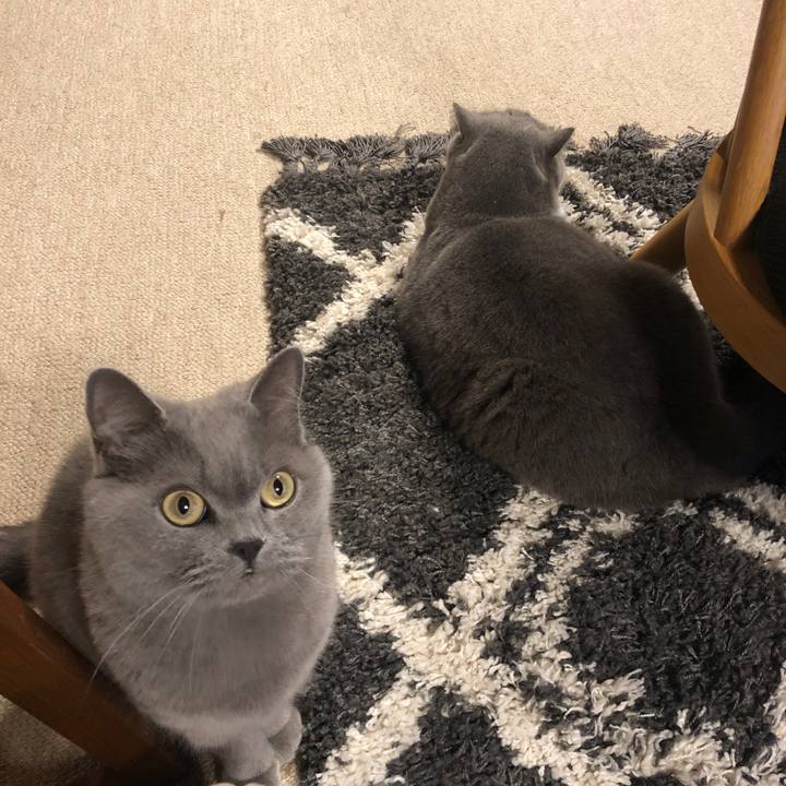 24d056c6 7cf9 4c8a 8cb8 4b0d5912081b 1609152711546