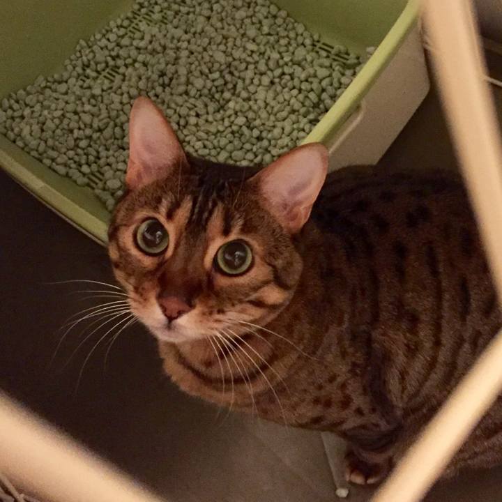 24d06d74 4a91 4d26 9b38 ffec24355da7 1525228886474