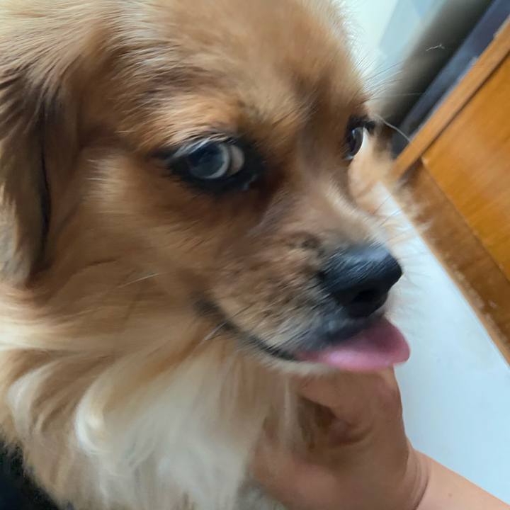 24d06da9 4f56 460a 960f d0185ca60bf0 1601937764379