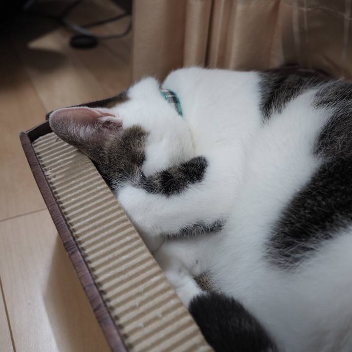 24d0900c 94e9 4f55 97dc 3348e56474d0 1536623913158