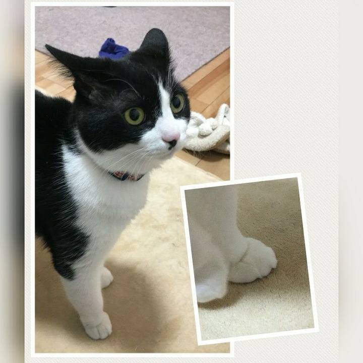 24d0a9b0 cbb4 413d a858 af1b0da378bd 1518318907621