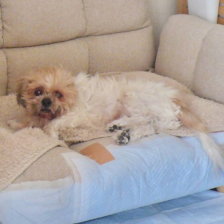 24d0b7fc 7222 41ca b66f 0879053c5d87 1524981984741