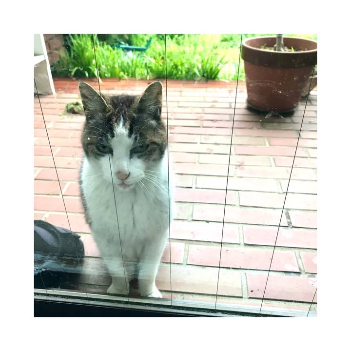 24d0dba0 f386 4af9 bbc9 ebd521802288 1649904568084