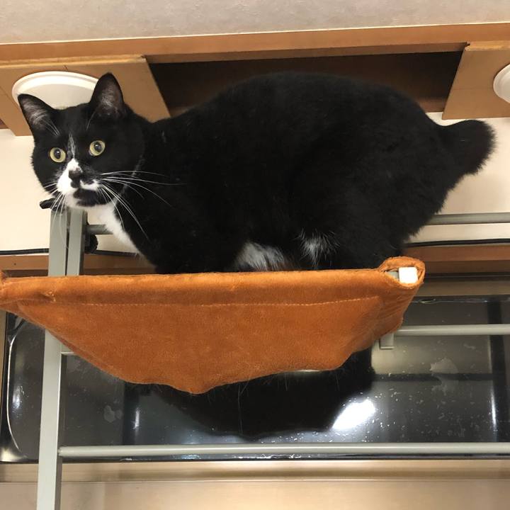 24d0df72 173a 479a adac 851b66984506 1553485438921