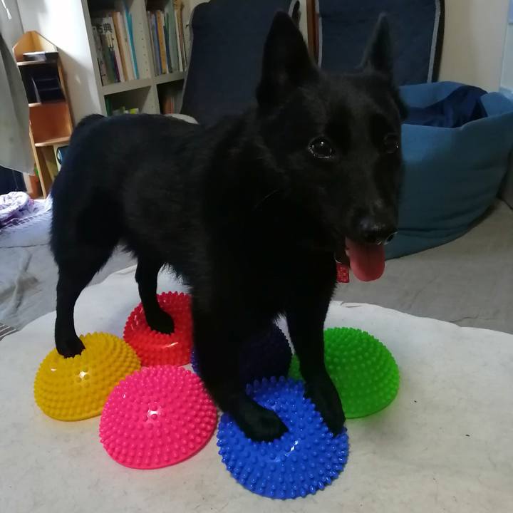 24d10983 7f7c 4b24 a2b7 afc70a36eb85 1622327088907