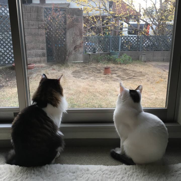 24d15129 b59f 4931 a580 f282b9867c11 1516457097584