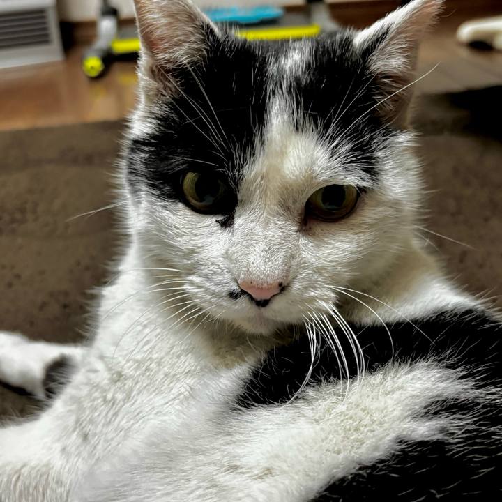 24d17e29 b890 4517 b771 04cfd1c49fa9 1772513787015