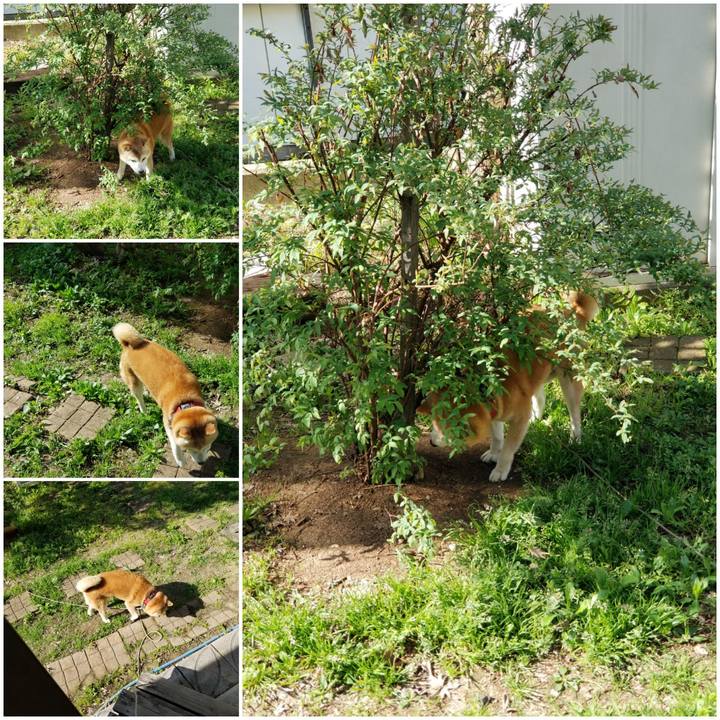 24d188dd 9070 463d 8476 c32d71ca8388 1745882140402