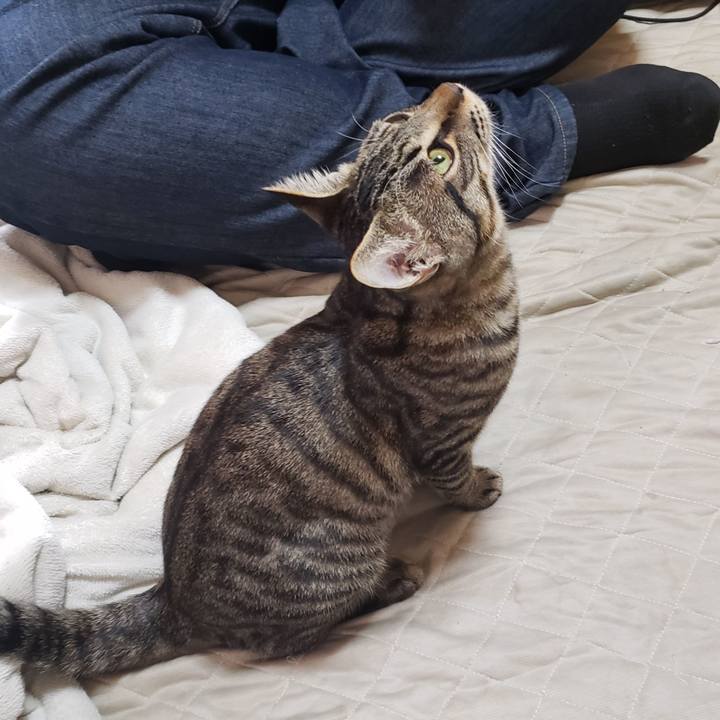 24d1cf15 cbd3 47c1 a00c 2b66cb8a1e2e 1543541826106