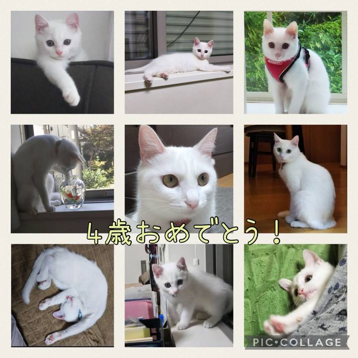 24d1f7b3 636d 495e 9b43 e388a8a5c2cb 1712507113585