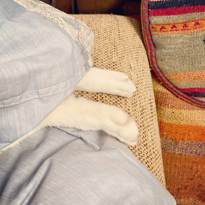 24d20b67 fc55 4f90 b1d0 10a5352ba8f2 1612586834563