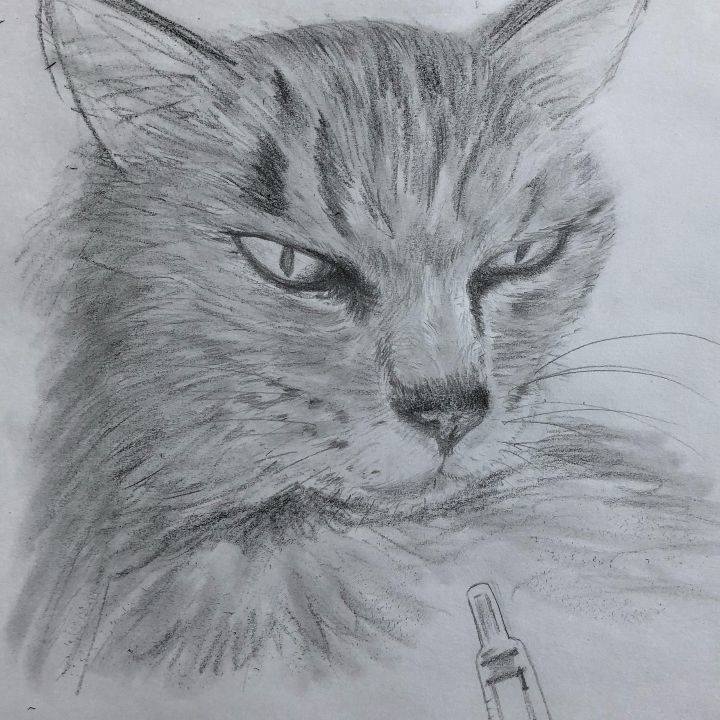 24d20da7 14de 453c a3de 4f173f96c20a 1630533230466