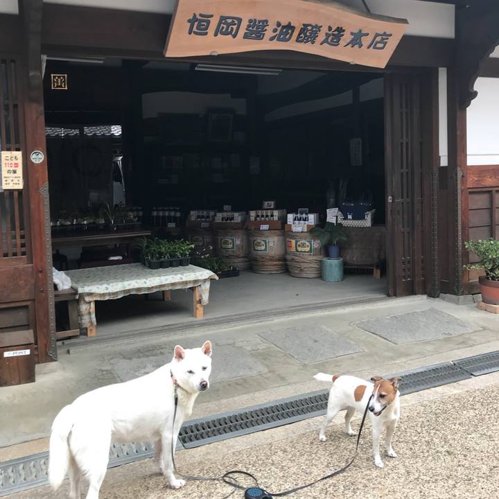 24d20f40 ac74 4935 97fc 36bf1d9ef86d 1526768632531