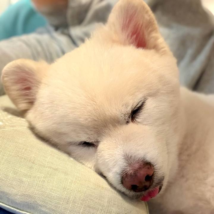 24d21472 adcd 4f1b b3d1 c90cd8ac9eaa 1764939725281