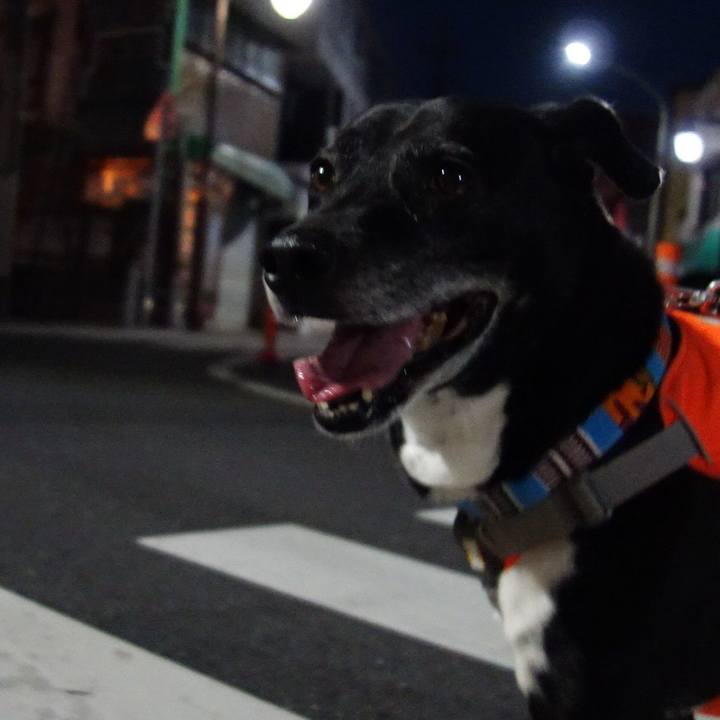 24d243a9 0da4 4c91 8c9a eedc0abad54a 1747313735132