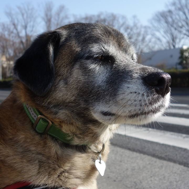 24d25cde 3fa0 4ff7 855d 58c9a1d845da 1629679990884