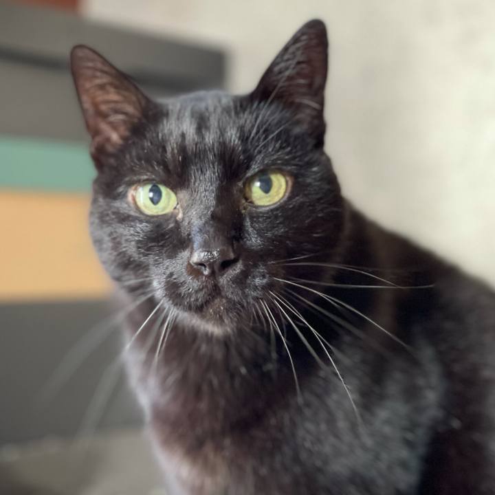 24d28ce2 da60 4026 9f85 245136d3f0a3 1611194054156