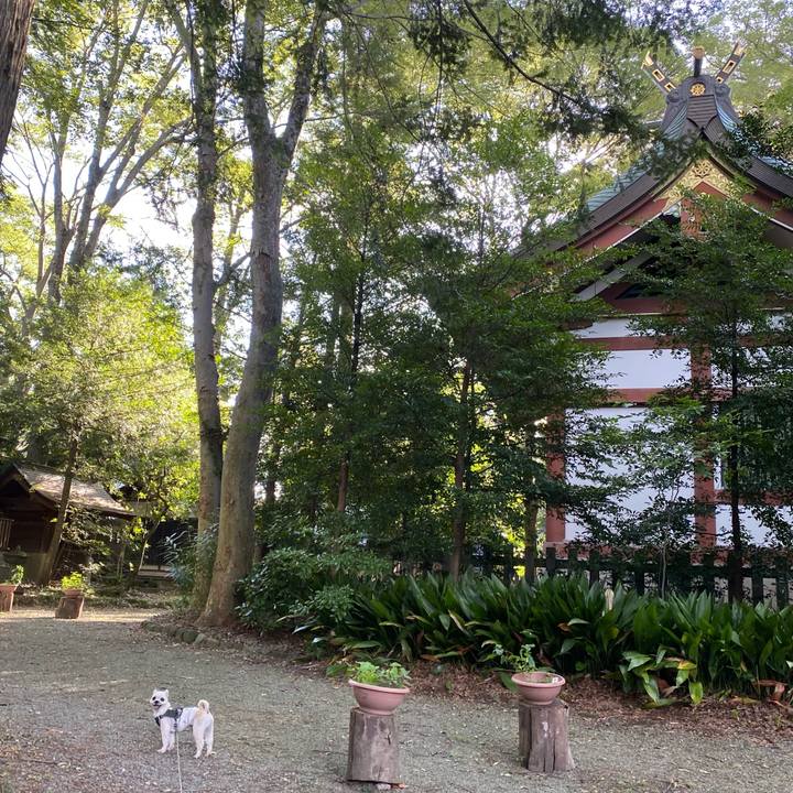 24d29060 a954 4bcd 8196 7ec73f56a595 1628685390143