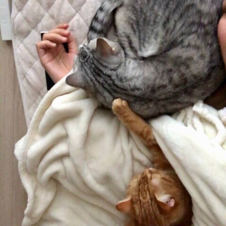 24d29df5 c6c0 4914 a50d 0f782bb8d95b 1522710507461