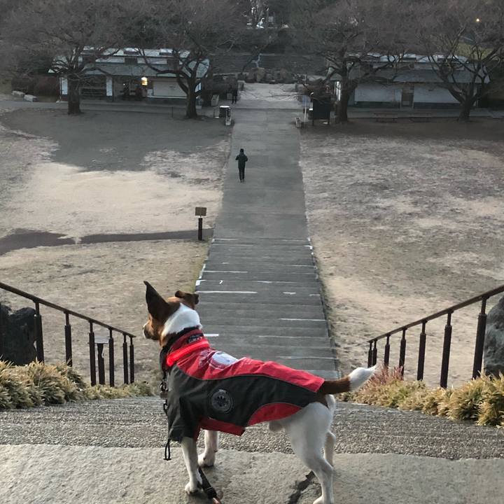 24d2e2da c13a 49f5 a5f0 6e2db520bc28 1518736976395