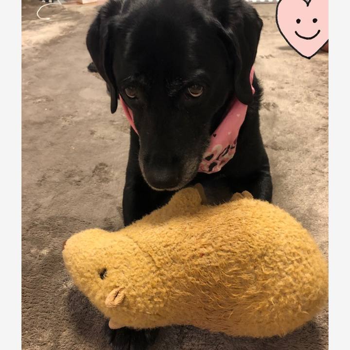 24d2fba3 bc30 4849 a7d9 e1644584f3f5 1567815602190