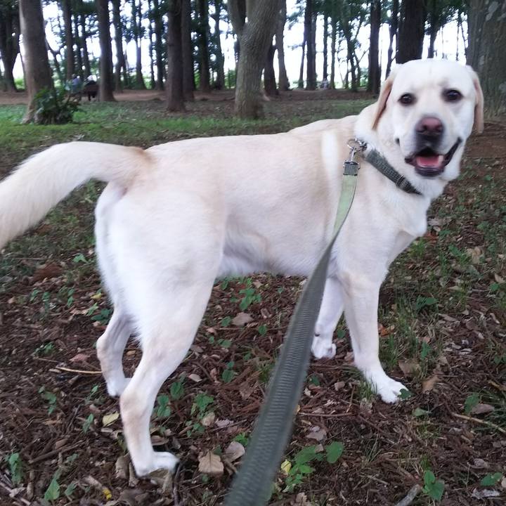 24d3802c 9e52 4693 9e90 7de26a3b5179 1536049201776