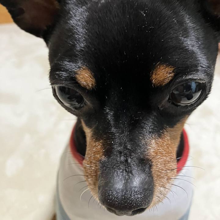 24d388c7 6eb2 46dd a938 3d2b504ad6a3 1706128873319