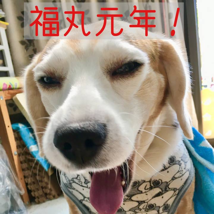 24d395ee 9fb0 4839 b5fe 5d9a584e0380 1554186902846