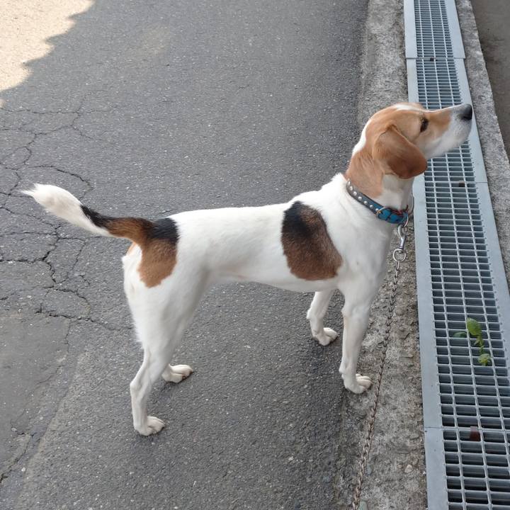 24d3a3d3 d735 4870 8141 d6fd82004462 1615785083740