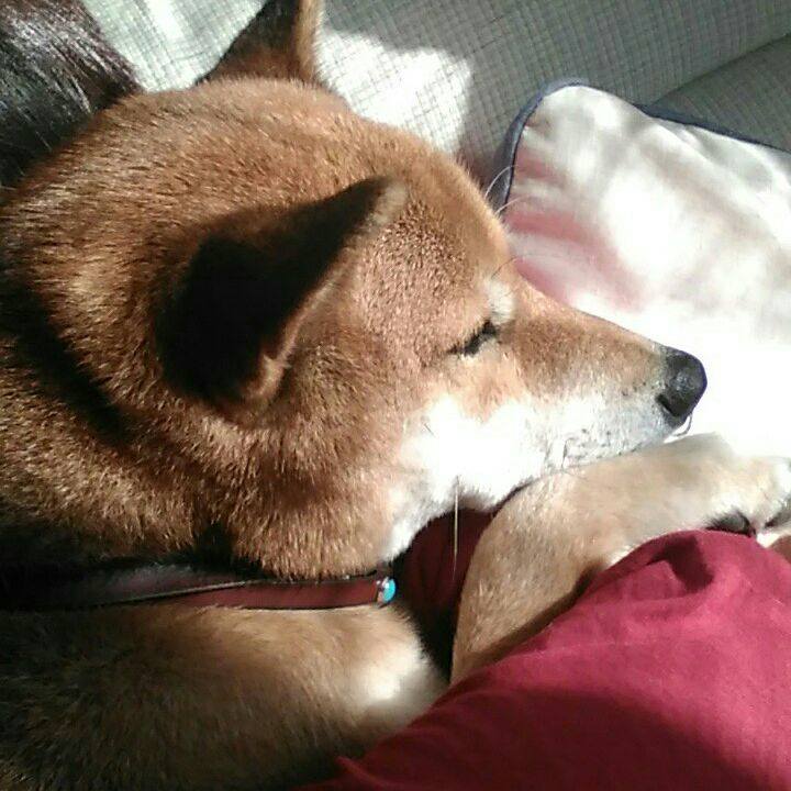 24d3ad10 531e 47f3 a34f 2b2ddca1f12e 1543467973706