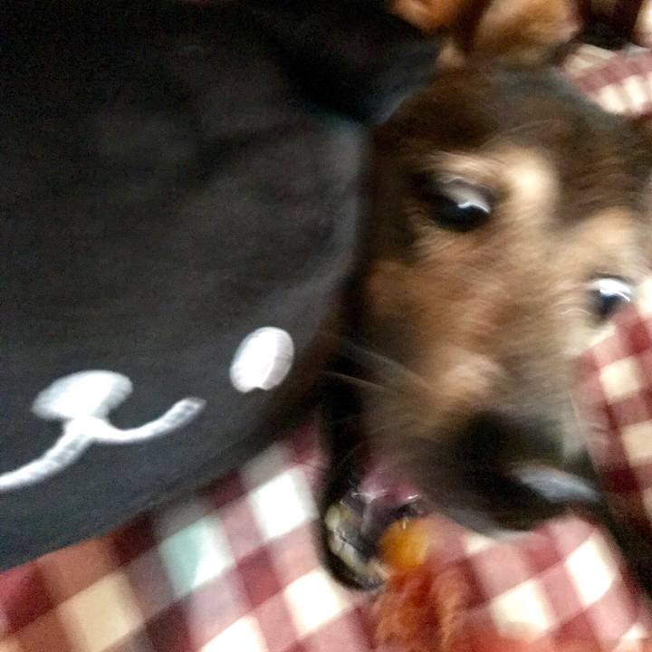 24d3c25a aad0 4af2 9a40 3154f6e6a6b4 1537882615597