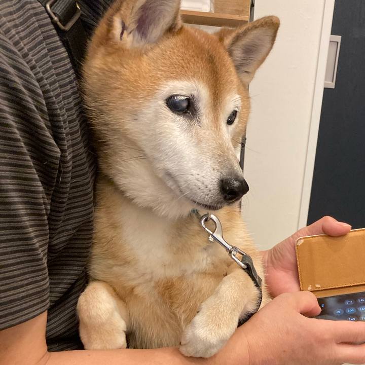 24d3d2f7 7c81 432f 887f 8fbe87a7dbc0 1759207465476