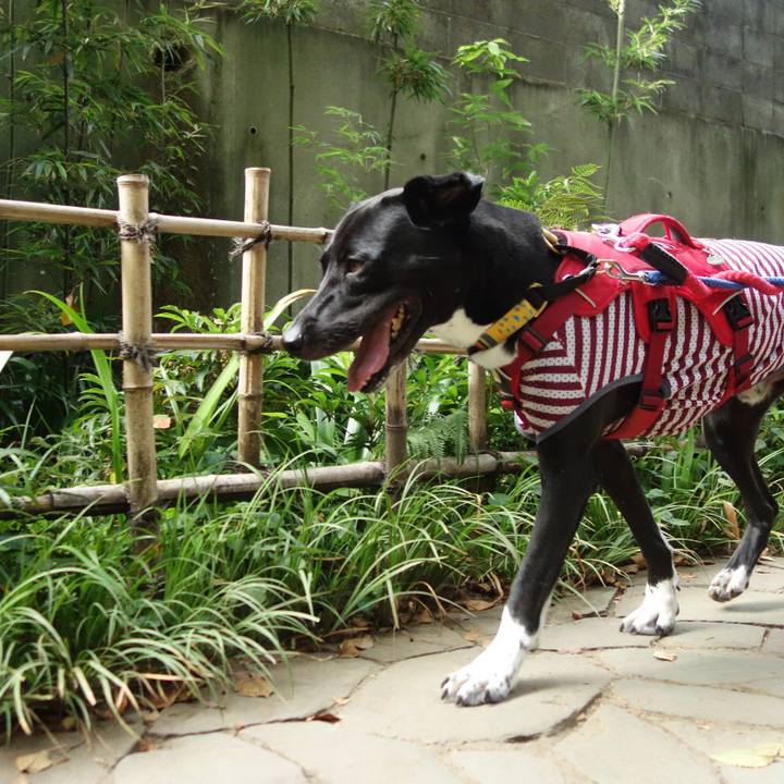 24d3d4c0 2235 45f1 8dcb cd1df42fae8f 1597016958758