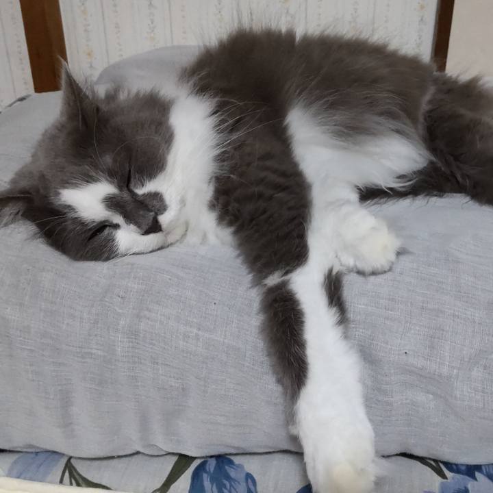 24d3da52 d4c0 49d2 afa6 38e13440a46a 1761973802952