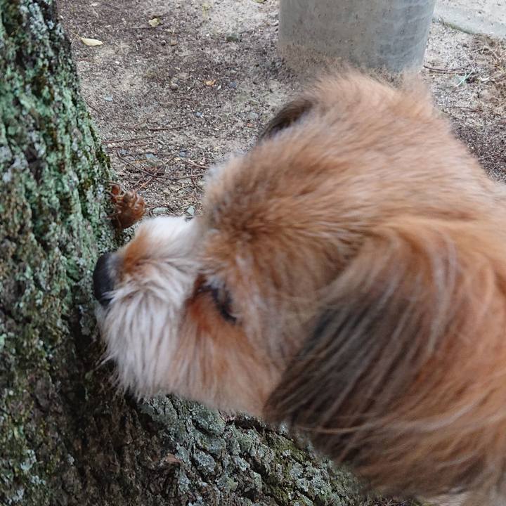 24d426cb 44e3 4a3a 80d6 7f554a9ae5fb 1562492980111